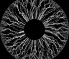 Noise.Circle