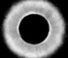Spiritual.Ring