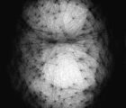 Density.Nodes