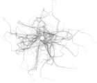 Araneae