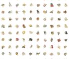 Petals.Grid