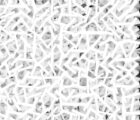 White.Bars
