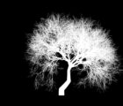 Recursive.Tree