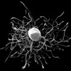 Black and white square image of an electron micrograph of a neuron, for my talk "Artifacts of Computation" at OFFF Festival, Barcelona, 12–14 May 2005
