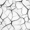 Black and white square image of mud cracks, for my talk "Applying Experimental to the Commercial" at Adobe MAX 2006 (Singapore), Singapore, 7 Nov 2006