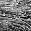 Black and white square image of a branching texture, for my talk "The Circle" at FITC Amsterdam, Amsterdam, 25–26 Feb 2008