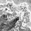 Black and white square image of a textured surface, for my talk "The Strangest Things I've Ever Seen" at FITC Amsterdam, Amsterdam, 22 Feb 2010