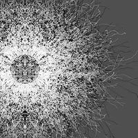 Generated black and white image of a mirrored burst of fine particle trails radiating from a ring, made with code after my Binary Ring algorithm, for Flash Forward NYC 2005 – “Code Karma”
